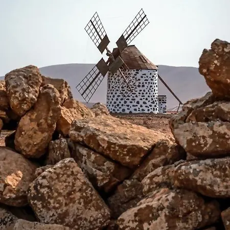 Aregoma * Пуэрто-дель-Росарио